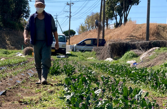 豊田農園 オンラインショップ『有機生活ネット』